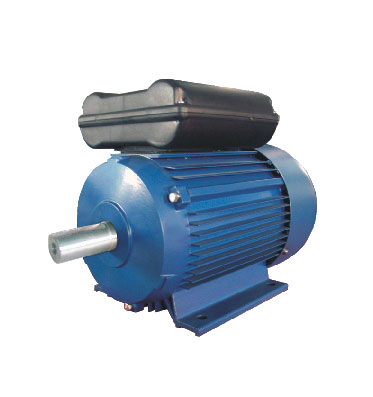 YL系列双值电容单相异步电动机